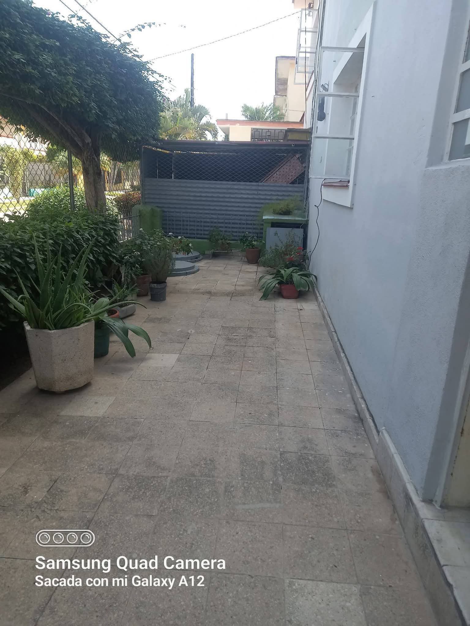 🥵Te traigo esta enorme y hermosa que está en venta